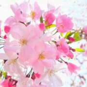 ヒメ日記 2026/04/01 10:53 投稿 春風 れな SUMIRE