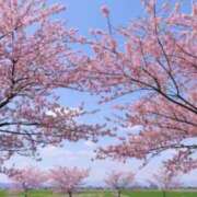 ヒメ日記 2026/04/02 06:15 投稿 春風 れな SUMIRE