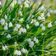 ヒメ日記 2026/04/02 13:15 投稿 春風 れな SUMIRE