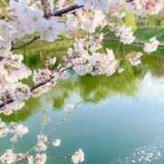 ヒメ日記 2026/04/05 06:45 投稿 春風 れな SUMIRE