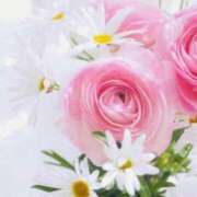 ヒメ日記 2026/04/11 22:49 投稿 春風 れな SUMIRE