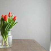 ヒメ日記 2026/04/16 00:43 投稿 春風 れな SUMIRE