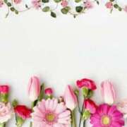 ヒメ日記 2026/04/16 14:06 投稿 春風 れな SUMIRE