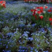 ヒメ日記 2026/04/23 16:45 投稿 春風 れな SUMIRE