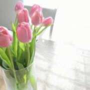 ヒメ日記 2026/04/27 07:53 投稿 春風 れな SUMIRE