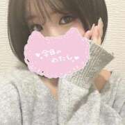 ヒメ日記 2026/01/16 18:30 投稿 ゆか SPIN(スピン)