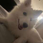 ヒメ日記 2026/01/30 14:06 投稿 るな クラブハウスシェル