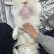 ヒメ日記 2026/02/02 07:16 投稿 るな クラブハウスシェル