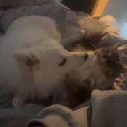 ヒメ日記 2026/02/11 13:36 投稿 るな クラブハウスシェル