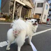 ヒメ日記 2026/02/15 13:56 投稿 るな クラブハウスシェル