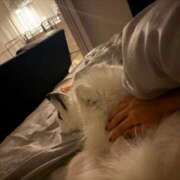 ヒメ日記 2026/02/19 18:16 投稿 るな クラブハウスシェル