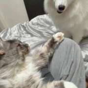 ヒメ日記 2026/02/22 21:16 投稿 るな クラブハウスシェル