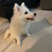 ヒメ日記 2026/02/23 07:16 投稿 るな クラブハウスシェル