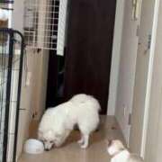 ヒメ日記 2026/02/25 07:16 投稿 るな クラブハウスシェル