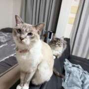 ヒメ日記 2026/02/25 12:06 投稿 るな クラブハウスシェル