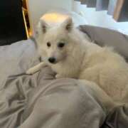 ヒメ日記 2026/02/27 10:36 投稿 るな クラブハウスシェル