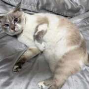 ヒメ日記 2026/02/28 20:06 投稿 るな クラブハウスシェル