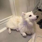 ヒメ日記 2026/03/02 15:56 投稿 るな クラブハウスシェル