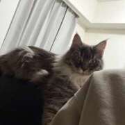 ヒメ日記 2026/03/04 07:06 投稿 るな クラブハウスシェル