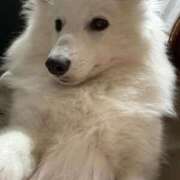 ヒメ日記 2026/03/07 19:16 投稿 るな クラブハウスシェル