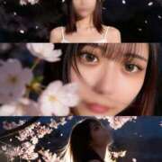 ヒメ日記 2026/03/12 12:06 投稿 るな クラブハウスシェル