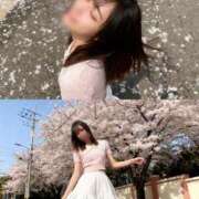 ヒメ日記 2026/03/14 07:16 投稿 るな クラブハウスシェル