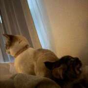 ヒメ日記 2026/03/16 07:16 投稿 るな クラブハウスシェル