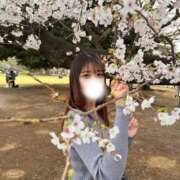 ヒメ日記 2026/03/30 23:56 投稿 るな クラブハウスシェル