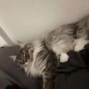 るな キャンセル出ました クラブハウスシェル