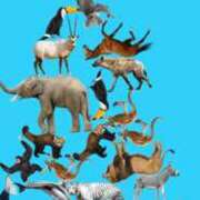 ヒメ日記 2026/02/04 14:52 投稿 にあ 風俗の神様　浜松店