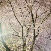 ヒメ日記 2026/03/30 23:43 投稿 沢宮(さわみや) 人妻出逢い会 百合の園 池袋店