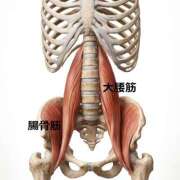 ヒスイ 腰痛さんへのアプローチの一つ 神奈川★出張マッサージ委員会Z