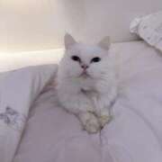 ヒメ日記 2026/02/19 18:46 投稿 みしろ ルピナスパルフェ