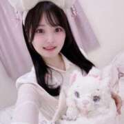 ヒメ日記 2026/03/31 07:19 投稿 みしろ ルピナスパルフェ