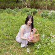 ヒメ日記 2026/04/14 09:53 投稿 みしろ ルピナスパルフェ