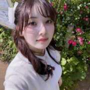 ヒメ日記 2026/05/20 15:57 投稿 みしろ ルピナスパルフェ