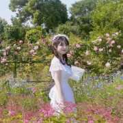 ヒメ日記 2026/05/23 10:39 投稿 みしろ ルピナスパルフェ