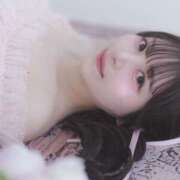 ヒメ日記 2026/07/08 23:44 投稿 みしろ ルピナスパルフェ