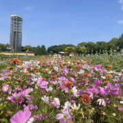 ヒメ日記 2026/02/02 17:55 投稿 ちはる ANGEL KISS 池袋