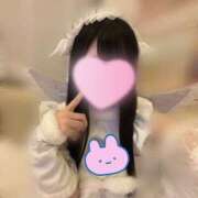 ゆき お久しぶりです😿 新宿ハンドメイド