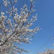 ヒメ日記 2026/04/03 23:46 投稿 ゆりあ ヒルズスパ　梅田＋