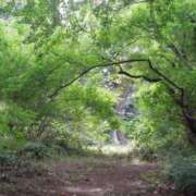 ヒメ日記 2026/01/27 01:51 投稿 すずか 丸妻 池袋店