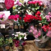 ヒメ日記 2026/02/13 20:37 投稿 すずか 丸妻 池袋店