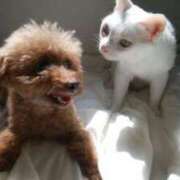 ヒメ日記 2026/02/24 08:20 投稿 すずか 丸妻 池袋店