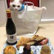 ヒメ日記 2026/02/24 17:23 投稿 すずか 丸妻 池袋店