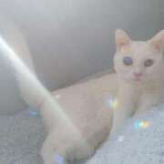 ヒメ日記 2026/02/25 09:30 投稿 すずか 丸妻 池袋店