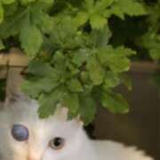 ヒメ日記 2026/02/26 15:07 投稿 すずか 丸妻 池袋店