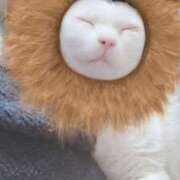 ヒメ日記 2026/02/27 09:27 投稿 すずか 丸妻 池袋店