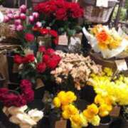 ヒメ日記 2026/03/02 00:38 投稿 すずか 丸妻 池袋店