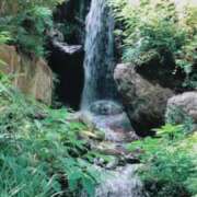 ヒメ日記 2026/03/23 12:27 投稿 すずか 丸妻 池袋店